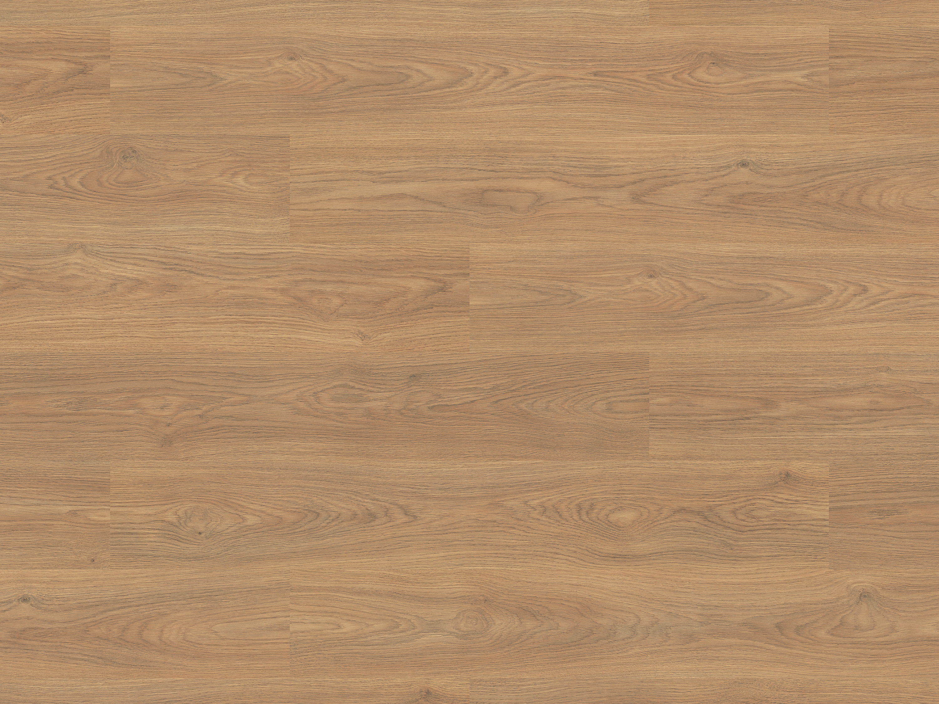 KronoOriginal® Laminat Cottage - Hazel Almina Oak K645 - Landhausdiele mit V4 Fuge - 7 mm Stark KronoOriginal® Laminat Cottage - Hazel Almina Oak K645 - Landhausdiele mit V4 Fuge - 7 mm Stark
