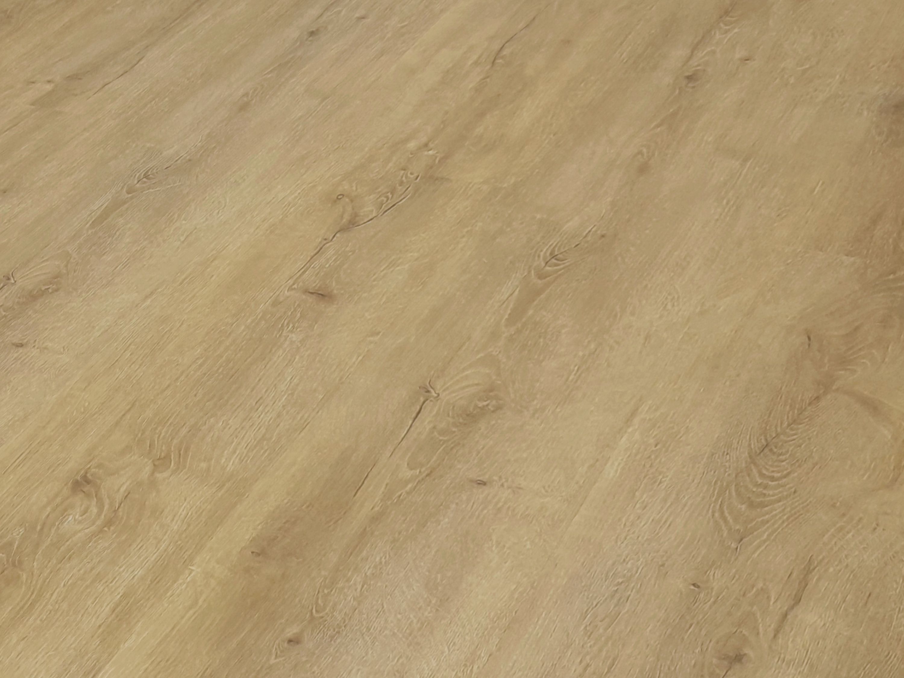 Flche-Eiche-Hell-mit-Logo-neues-Format.jpg?ts=1703772822