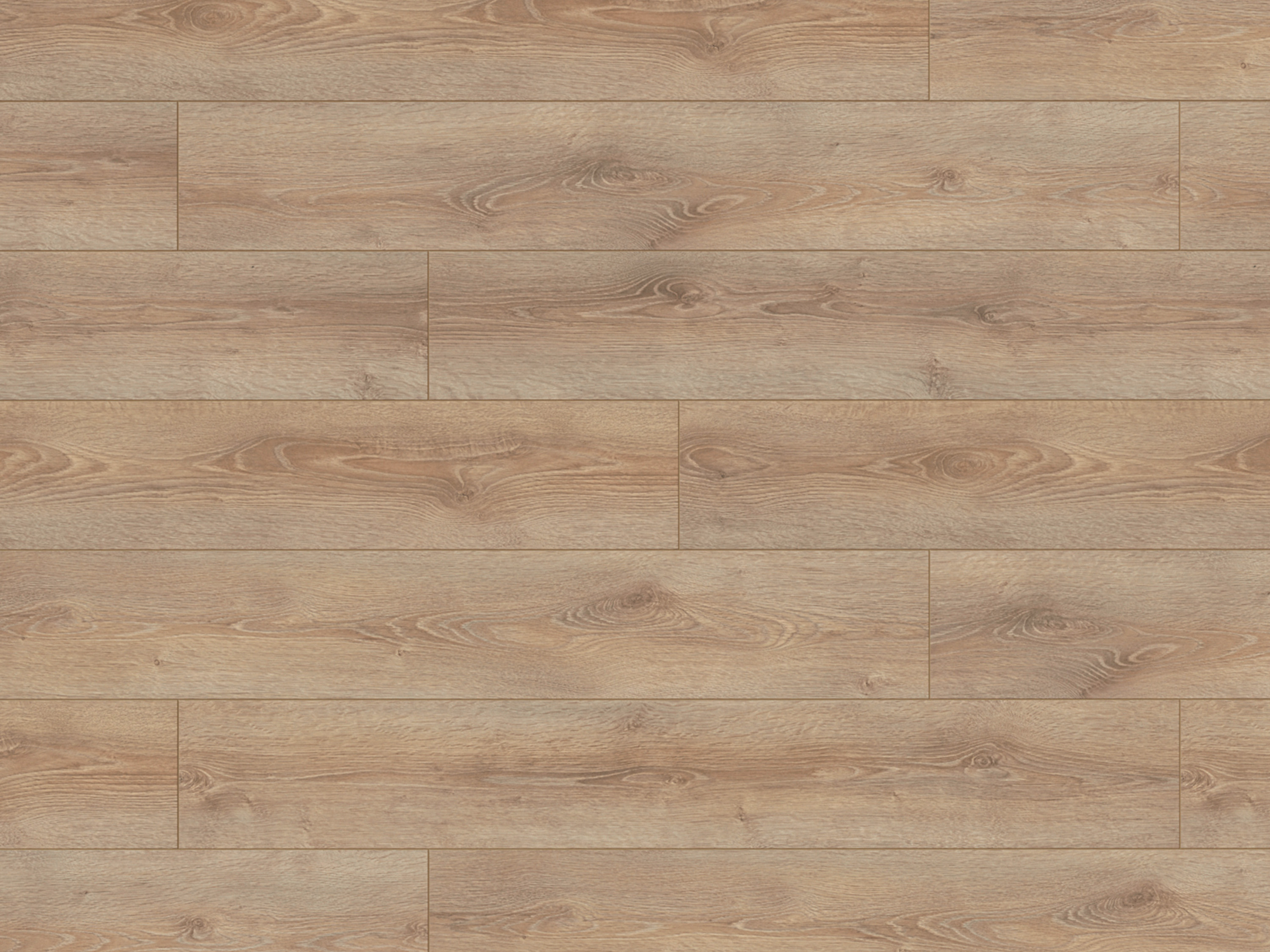 Laminatboden Clearwater Oak K057 (SU) Super Natural Classic by Krono Original, Stärke: 8 mm Laminatboden Clearwater Oak K057 (SU) Super Natural Classic by Krono Original, Stärke: 8 mm