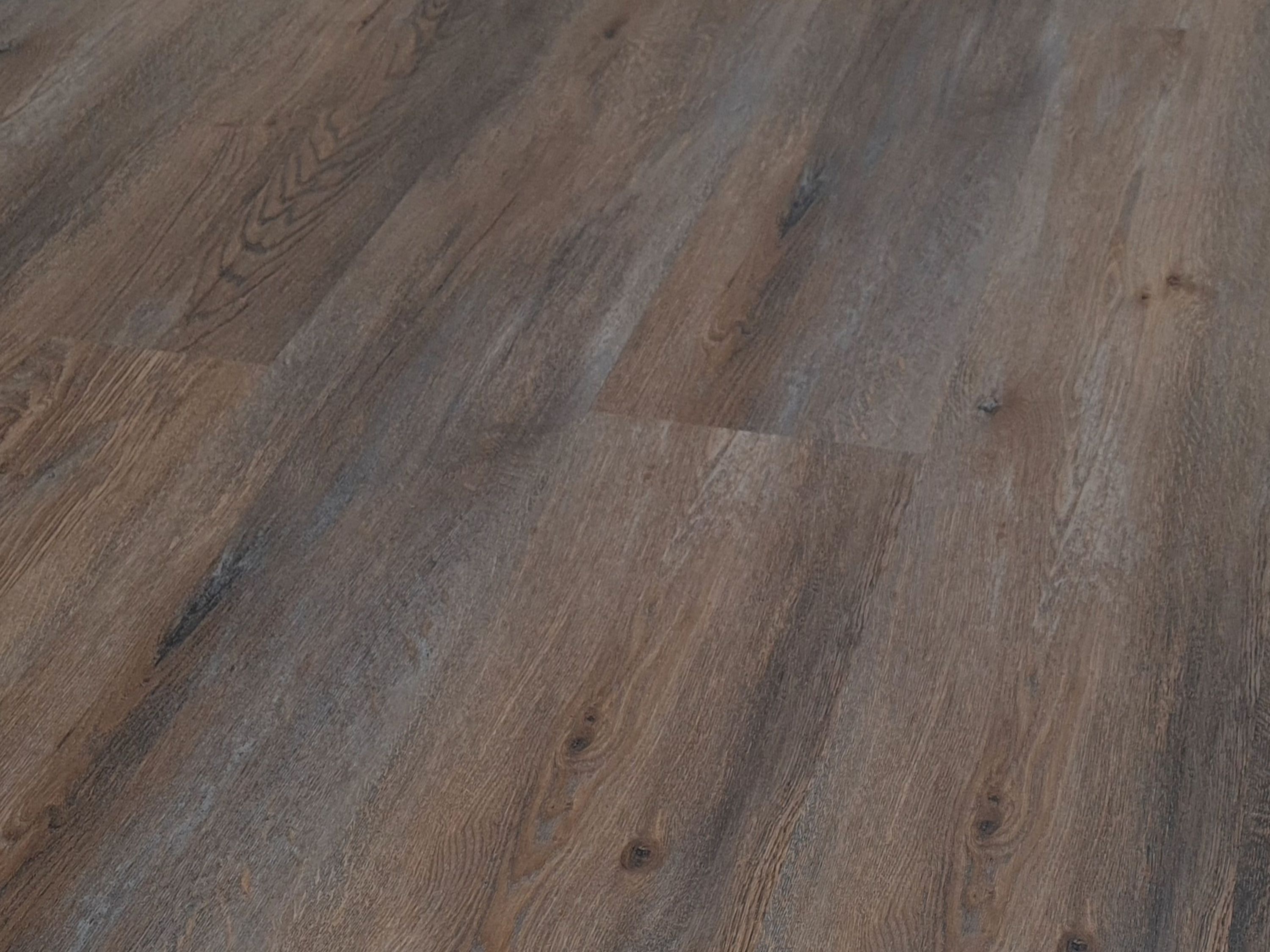 Braun-Flche-neues-Format.jpg?ts=1722845624