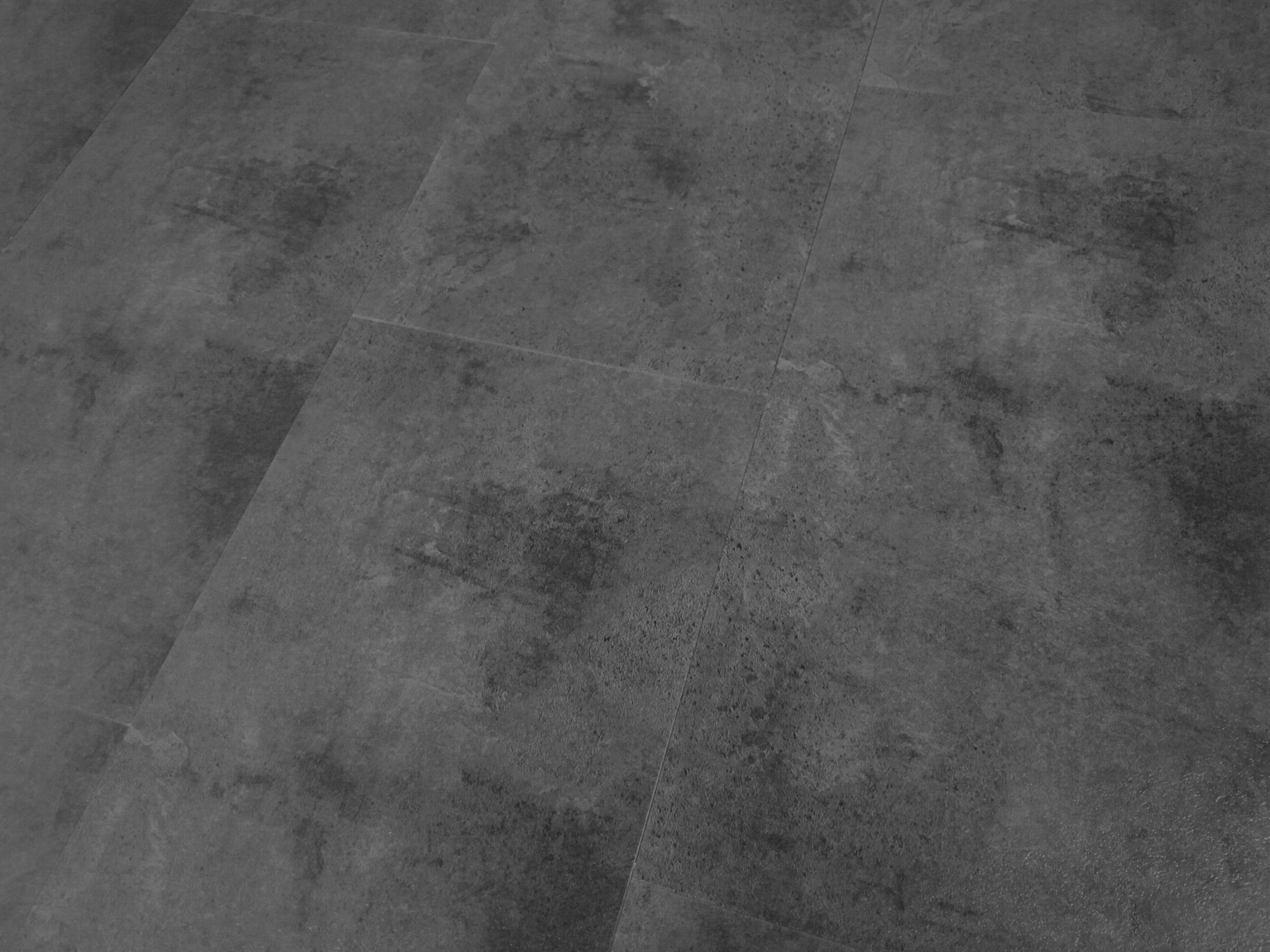 Senia-neues-Format.jpg?ts=1703774659