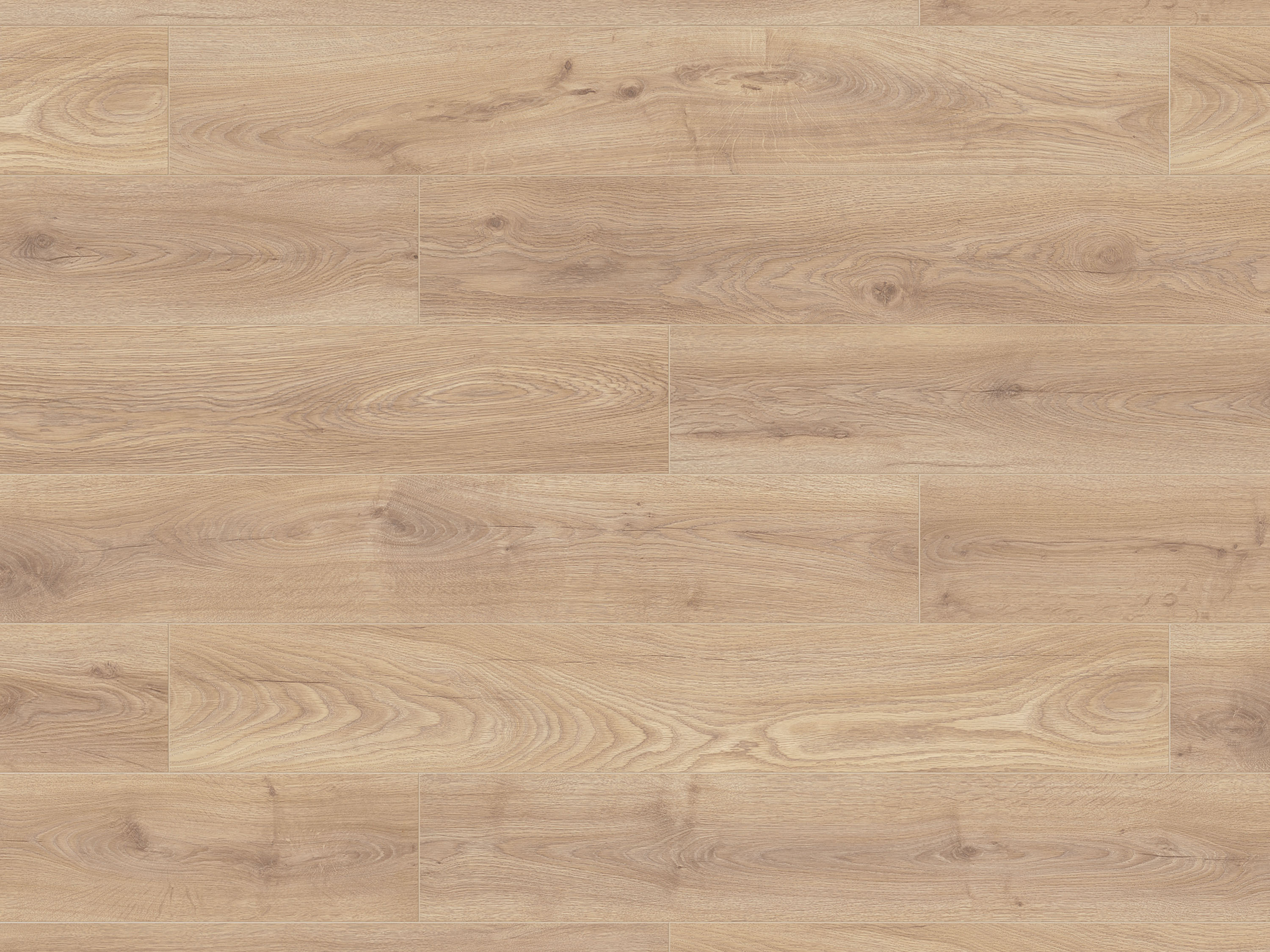 Laminatboden Biscotti Oak K453 (HO) Super Natural Classic by Krono Original, Stärke: 8 mm Laminatboden Biscotti Oak K453 (HO) Super Natural Classic by Krono Original, Stärke: 8 mm